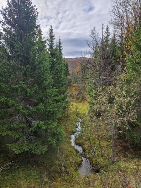 The Autumnal Christmas Chronicles Preamble thread