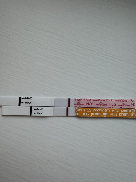 VVFL 12dpo success stories