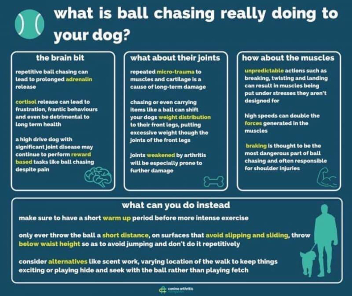 Throwing balls bad press ?