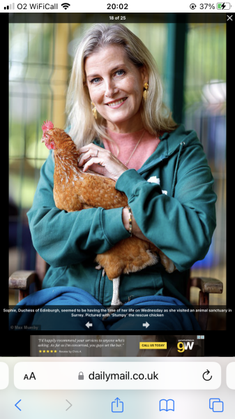 Royal Style: monkey nuts or emeralds? The discussion continues...