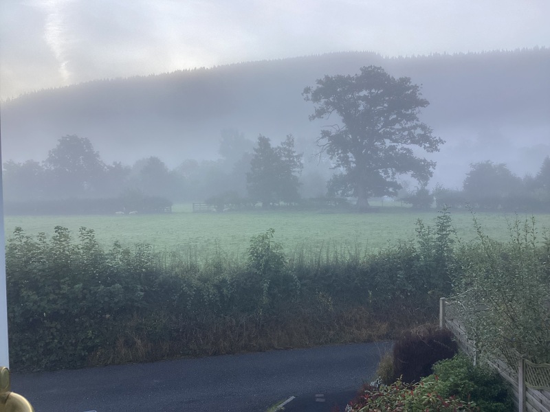 Spring has sprung...let's Countdown to Christmas 2024 (Thread 2)