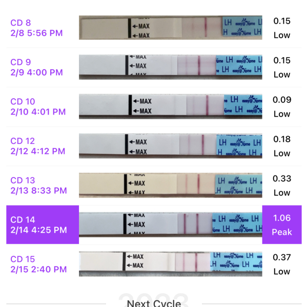 Am I near ovulation?