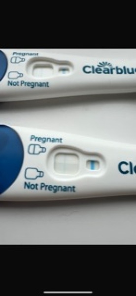Evap lines clear blue