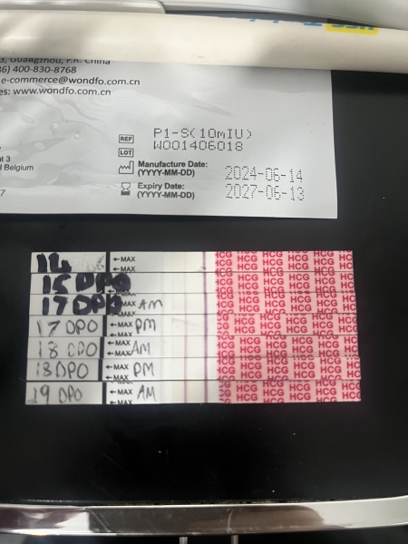 Has anybody gotten pregnant straight after having a chemical?