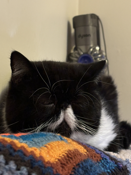 Magnificent Moustaches