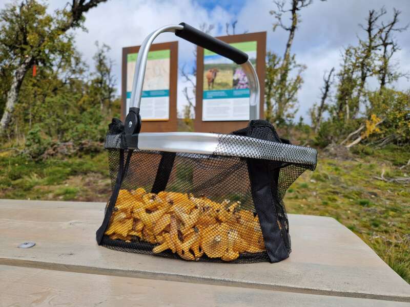 The Autumnal Christmas Chronicles Preamble thread