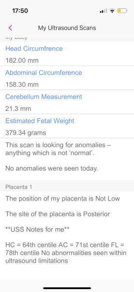 BFP after IVF - the journey continues (part 2)