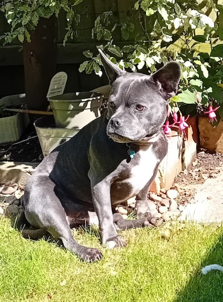 The Continuing Support Thread for Anyone Trying to Lead an Alcohol-Free Life Autumn 2024