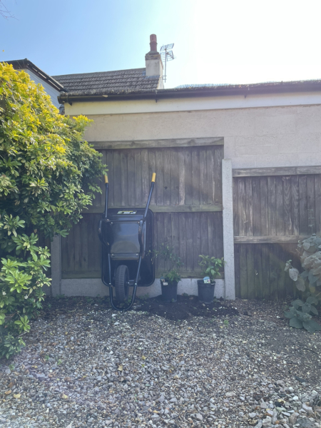 What to plant here...?