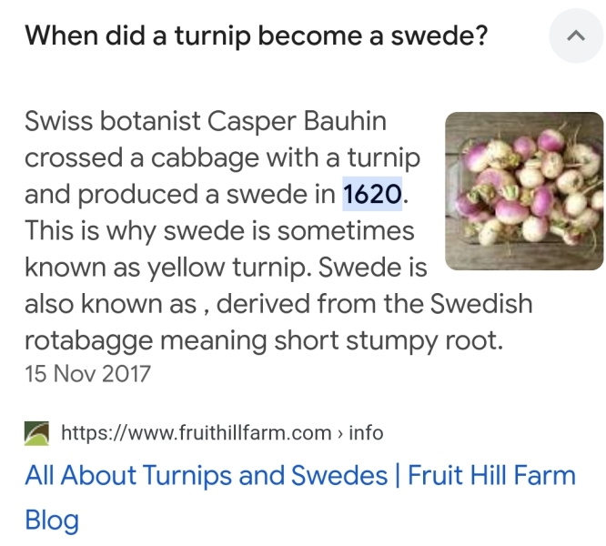 MN made me buy a turnip today