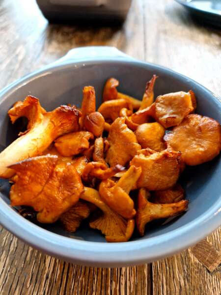 The Autumnal Christmas Chronicles Preamble thread