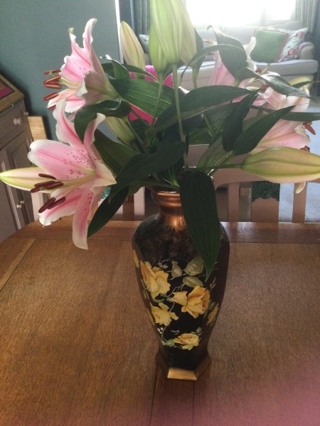 Thread 8 Starmer : Cat fur on new clothes