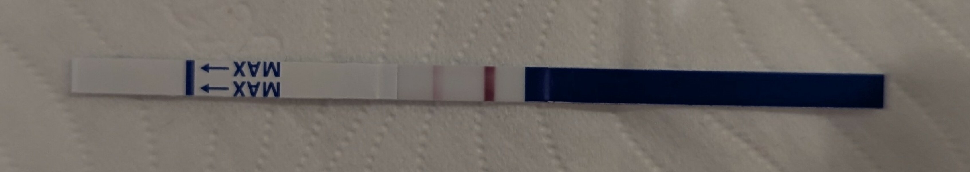 1DPO TWW ladies