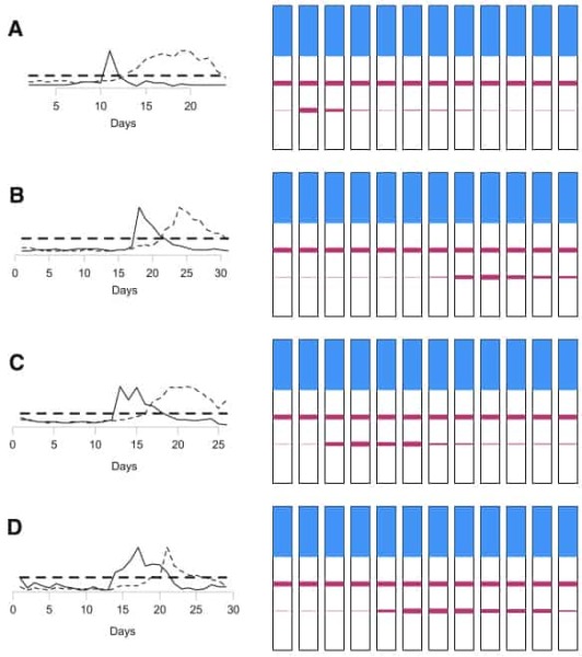 Surely not ovulating already?