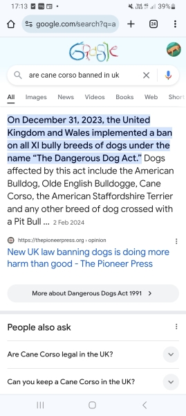 Pregnant dog