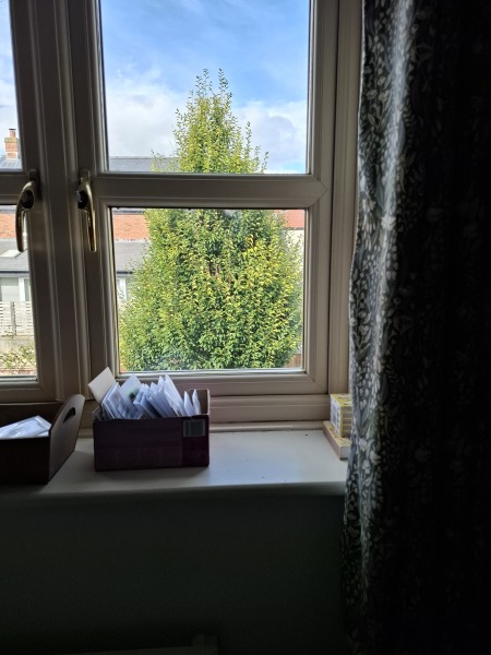 Lack of Privacy in Garden
