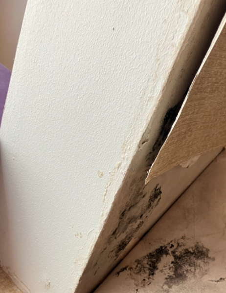 Legal help with retirement village?