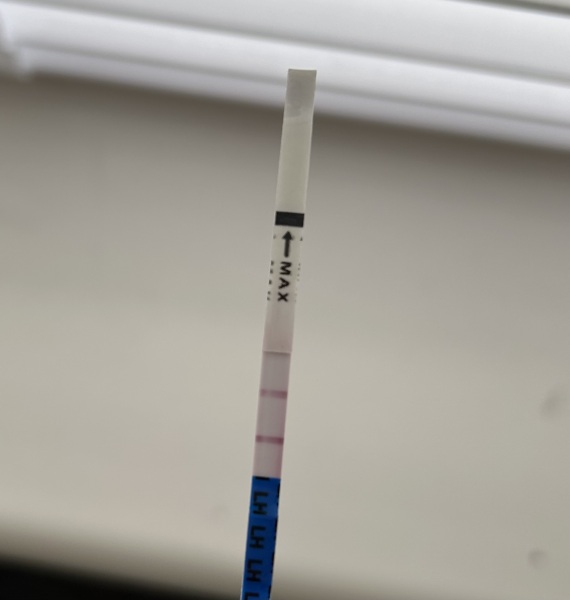 When to have sex when ovulation surge detected??