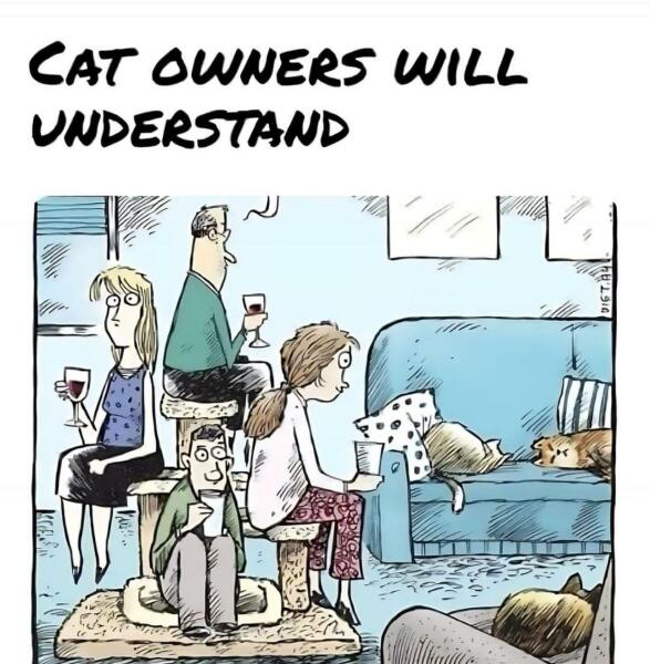 Passports, buckets and spades - the Excellent Cats go on their holidays