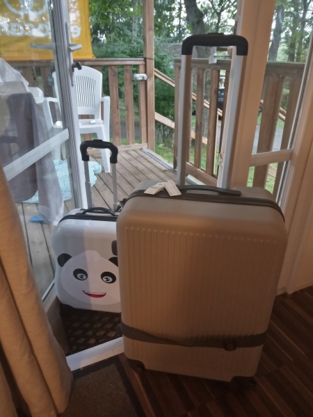 To ask you to help me process things and get home from France.