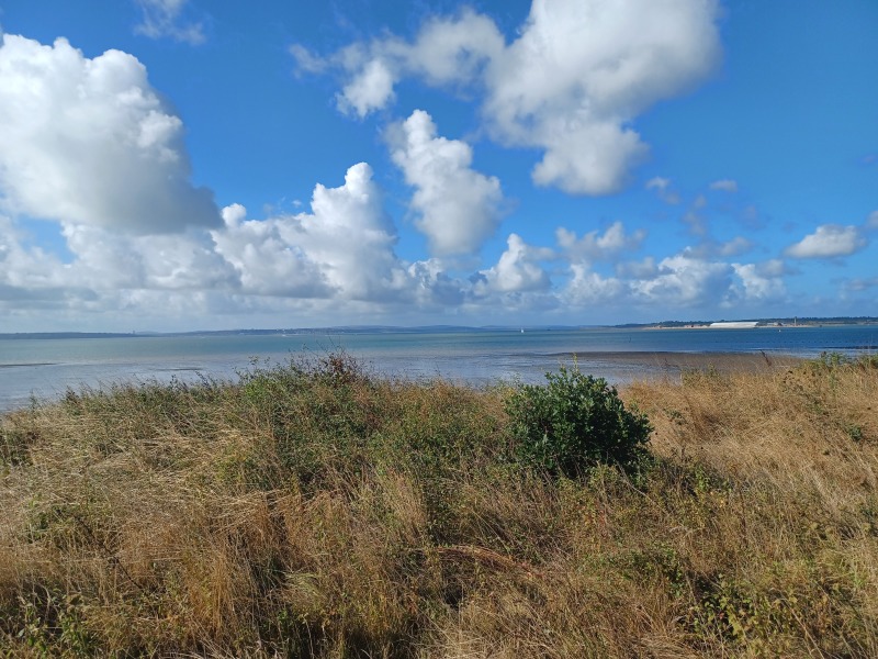 Come chat hiking with me!