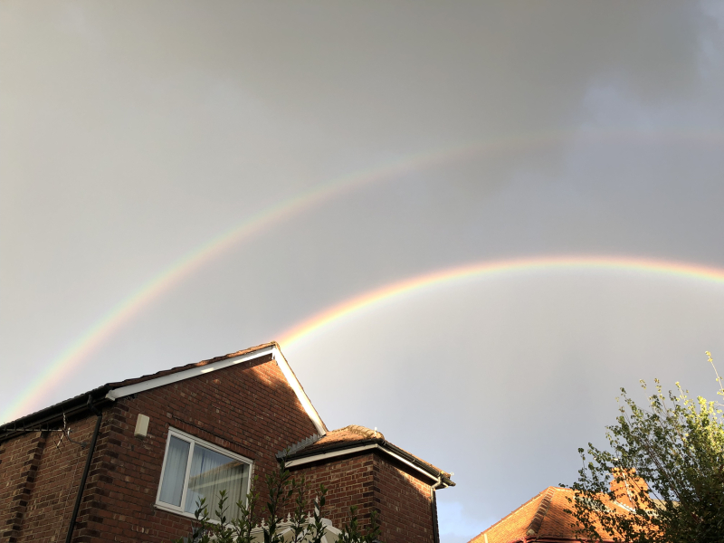 Thread 8 Starmer : Cat fur on new clothes