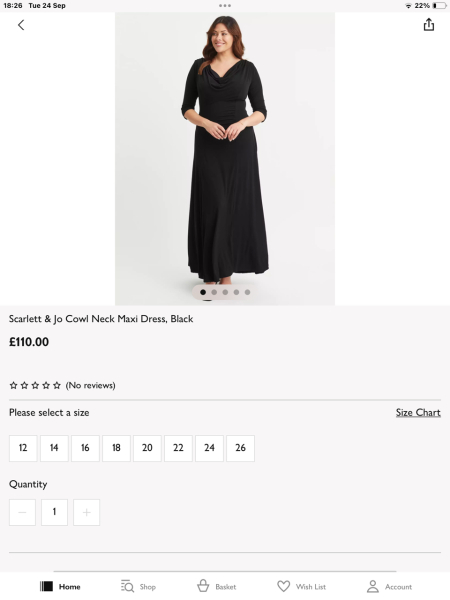 Help me find the perfect dress..