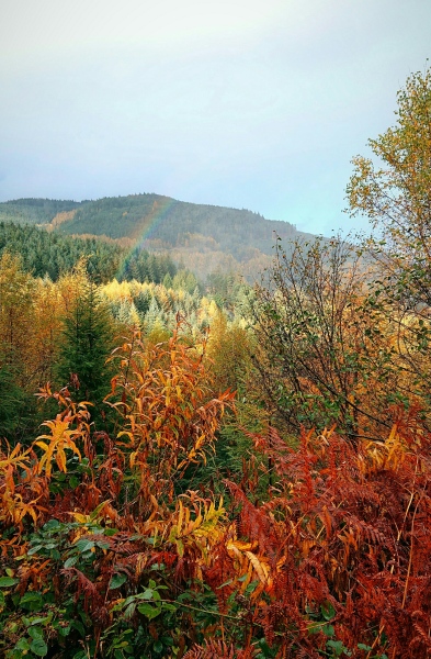 The Autumnal Christmas Chronicles Preamble thread