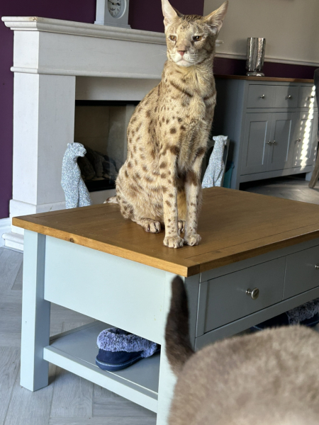 What's on your coffee table?