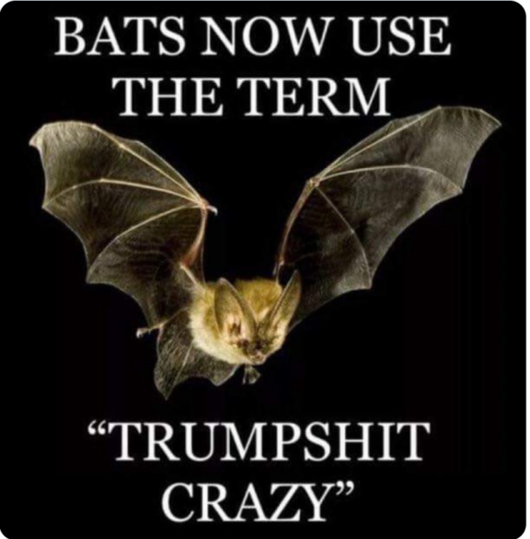 It's not over until the Cat Lady sings - Trump thread #133