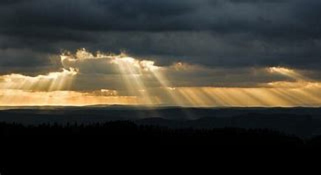 Shahrar Ali wins his case