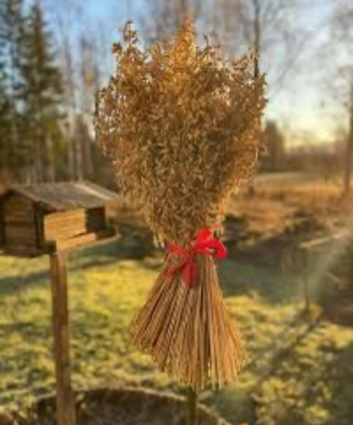 What date do you decorate for autumn?