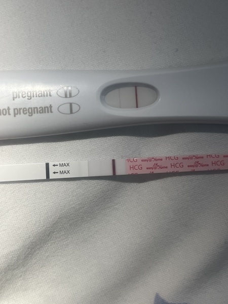 BFP after IVF - the journey continues (part 2)