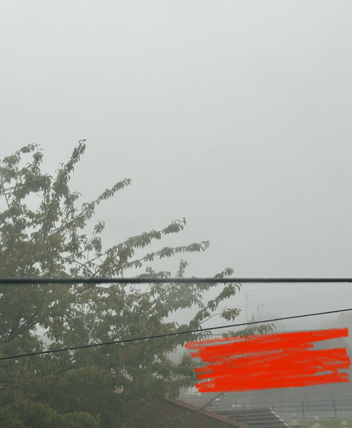 What date do you decorate for autumn?