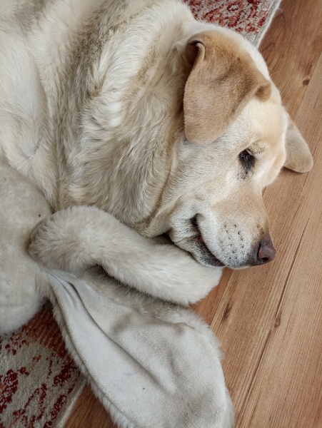 Private conversations held on MN