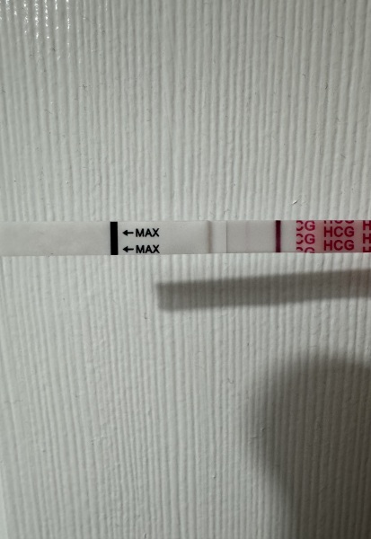 Pregnancy test