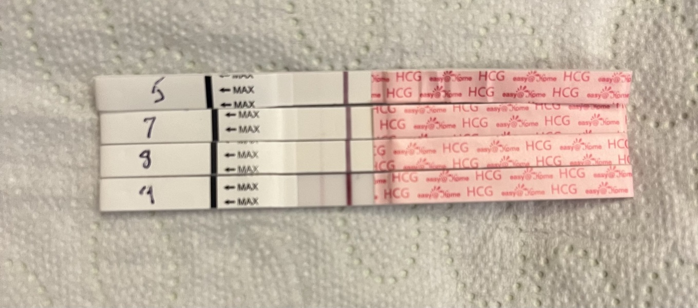 BFP after IVF - the journey continues (part 2)