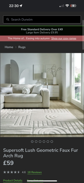 Where can I find this rug?!