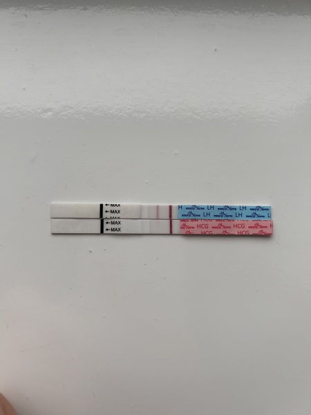 1dpo, anyone else?