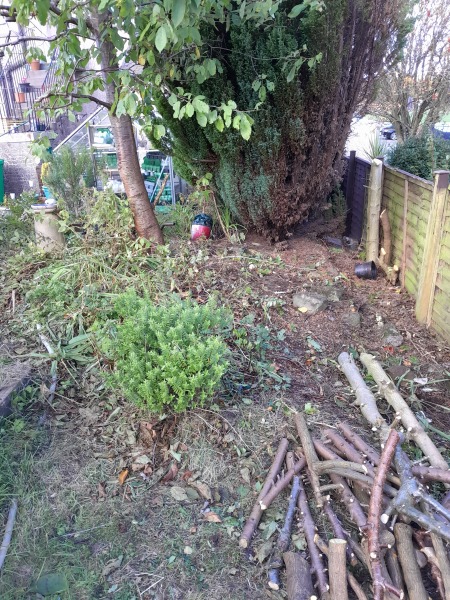 What have you done in the garden today? Part 6