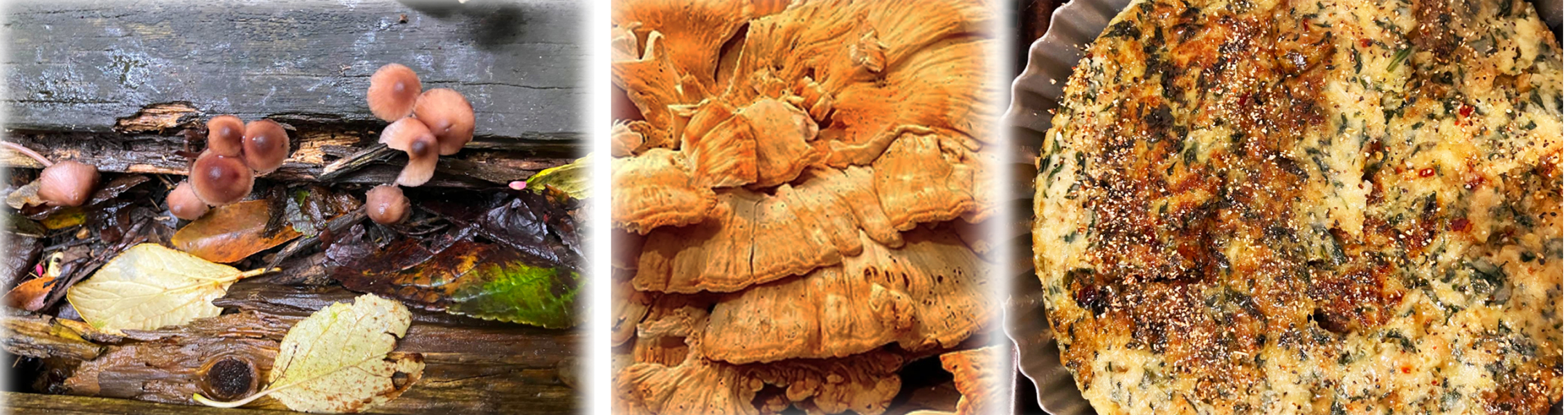 The Autumnal Christmas Chronicles Preamble thread