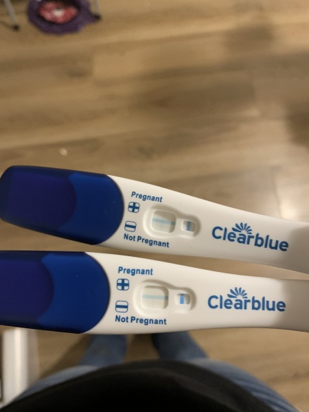 Clear blue test. Evap line or positive