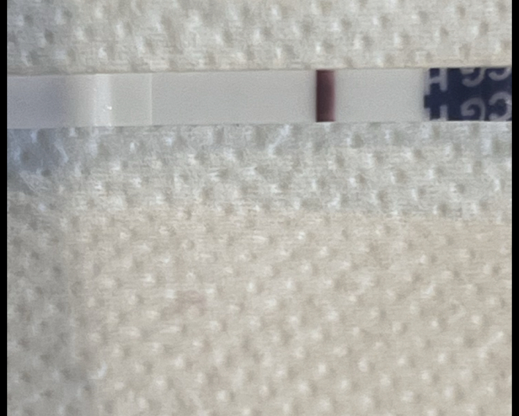 Are my eyes playing tricks on me