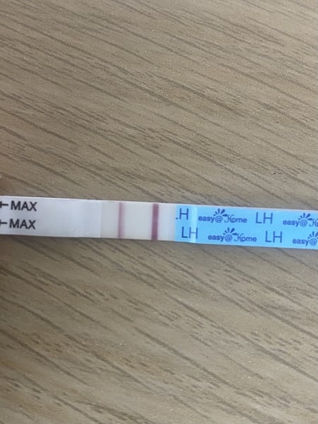 12 DPO almost positive OPK?