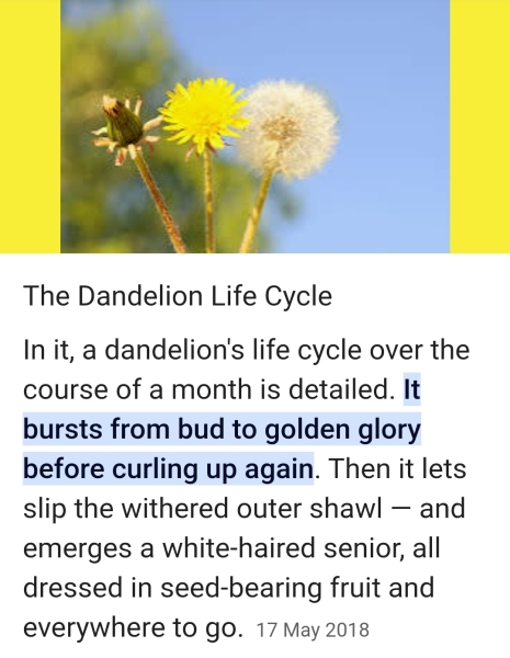 Things you assumed and were astonished to find out you were completely wrong