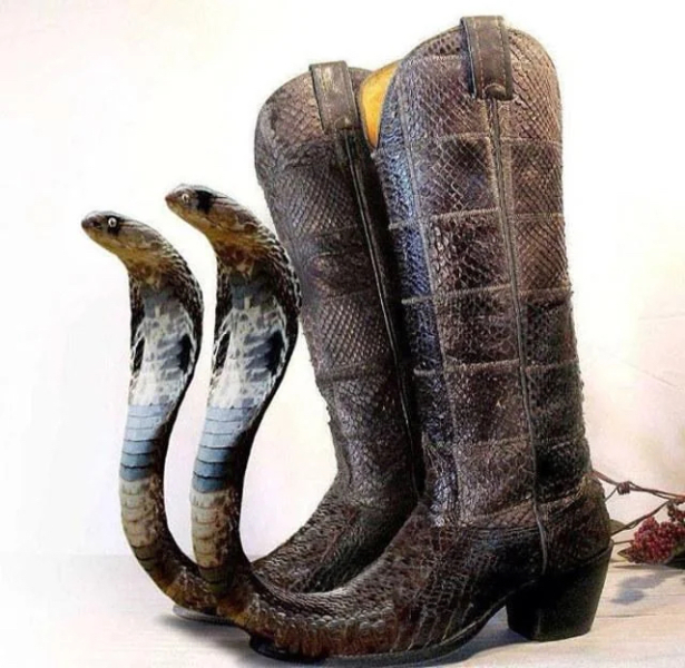 What’s this shoe trend? Medieval jester?
