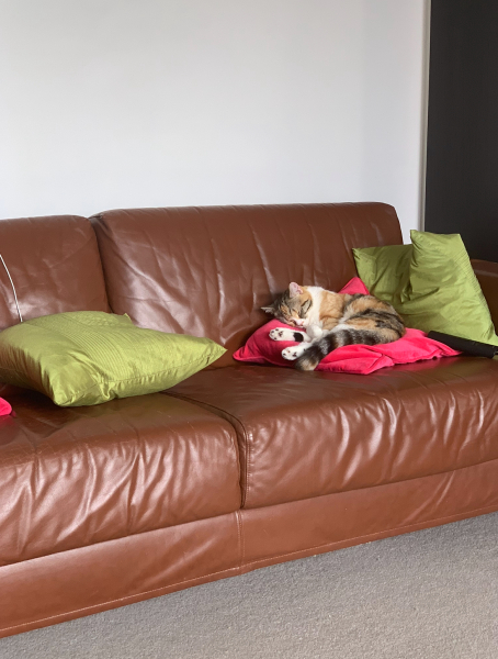 How old is your sofa?