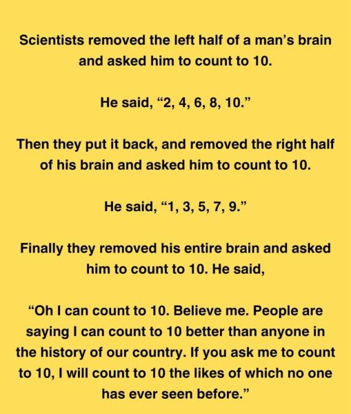 What's True Pussycat? - Trump Thread #134