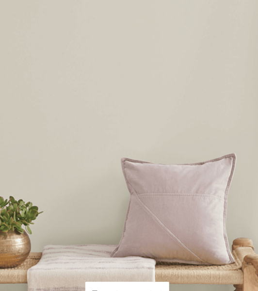 What colour cushions would go with my room.. pic