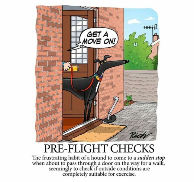 Do you walk your dog when it’s pouring all day?